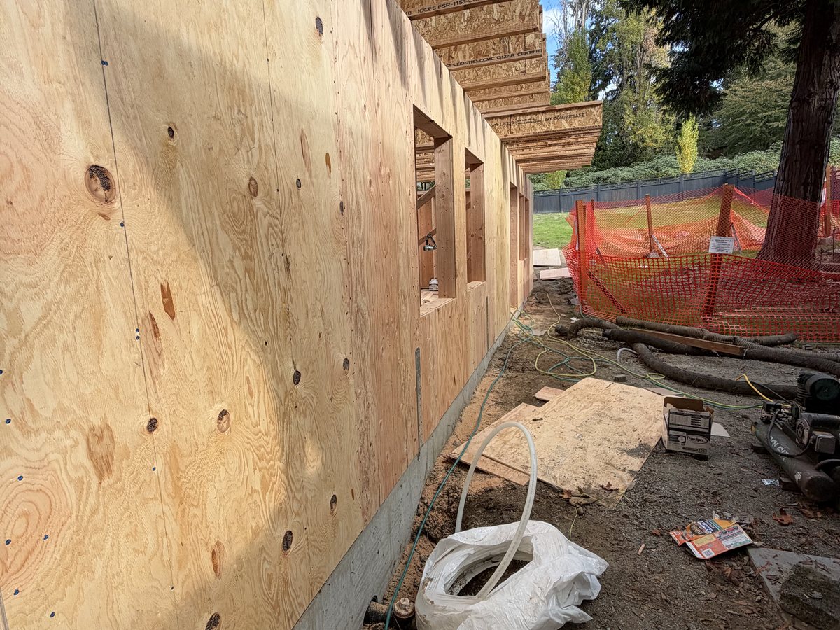 Plywood sheathing on the DADU walls